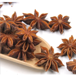 Whole Star Anise Supplier - Guangxi Export Dried Spice