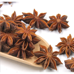 Whole Star Anise Supplier - Guangxi Export Dried Spice