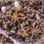 Whole Star Anise Supplier - Guangxi Export Dried Spice