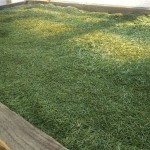 Bubble Herbal Tea Factory - Customizable Boxed Loose