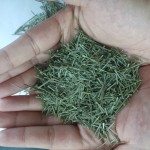 Bubble Herbal Tea Factory - Customizable Boxed Loose