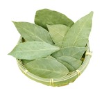 Bay Leaf Supplier - Air-Dried Raw Processing Bulk