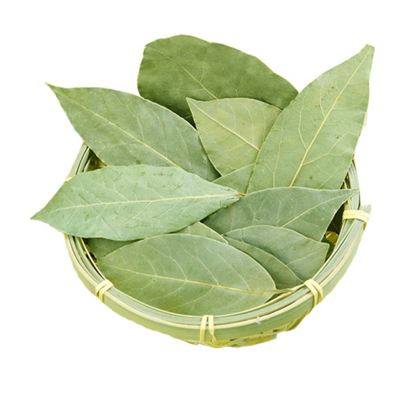 Bay Leaf Supplier - Air-Dried Raw Processing Bulk