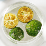 Freeze-Dried Kumquats Manufacturer - Sweet Sour Invigorating