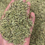 Dry Rosemary Factory - Natural Herbal Spice Condiments