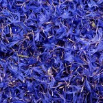 Cornflower Petal Manufacturer - Hibiscus Blue Sapphire