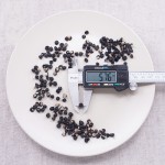 Black Wolfberry Factory - Wild Lycium Fruit Dried