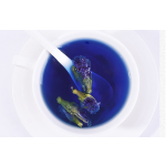 Blue Tea Supplier - Nontoxic Pea Flowers Herbal