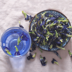 Blue Butterfly Tea Factory - Butterfly Pea Health