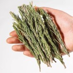 Rosemary Branches Factory - Edible Grade Steak Spice