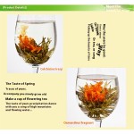 Jasmine Green Tea Bags Supplier - Craft Blooming Tea