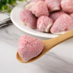 Freeze-Dried Strawberry Manufacturer - Chocolate Coated Snack