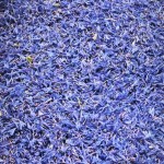 Cornflower Petal Manufacturer - Hibiscus Blue Sapphire