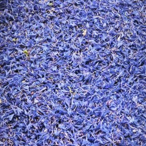 Cornflower Petal Manufacturer - Hibiscus Blue Sapphire