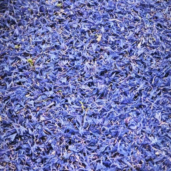 Cornflower Petal Manufacturer - Hibiscus Blue Sapphire