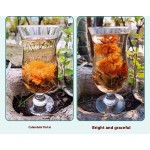 Jasmine Green Tea Bags Supplier - Craft Blooming Tea