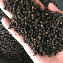 Black Pepper Supplier - Whole Natural Seasoning Rich Taste