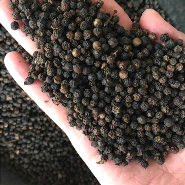 Black Pepper Supplier - Whole Natural Seasoning Rich Taste