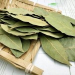 Bay Leaf Supplier - Air-Dried Raw Processing Bulk