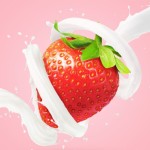 Freeze-Dried Strawberry Manufacturer - Chocolate Coated Snack