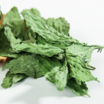 Peppermint Tea Factory - Chinese Herbal Mint Leaves