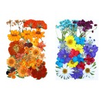 Christmas Decoration Supplier - Pressed Flower Embossed