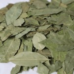 Bay Leaf Manufacturer - Natural Dried Rich Fragrance