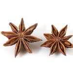 Star Anise Manufacturer - Wholesale Octagonal Spice Bulk