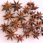 Star Anise Manufacturer - Wholesale Octagonal Spice Bulk
