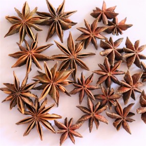 Star Anise Manufacturer - Wholesale Octagonal Spice Bulk