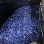 Cornflower Petal Manufacturer - Hibiscus Blue Sapphire