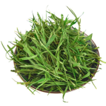 Herbal Tea Supplier - Thin Bamboo Leaves Loose