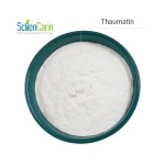 Thaumatin Powder Manufacturer - Food Grade Sugar Sweetener