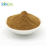 Irish Moss Extract Factory - 10:1 20:1 High Quality Bulk