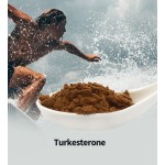 Ajuga Turkestanica Extract Supplier - 2% Turkesterone Sports Supplement