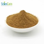 Yucca Schidigera Extract Manufacturer - 30% Yucconin Pet Care Supplement