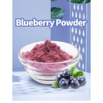 Blueberry Powder Supplier - 100% Water Soluble Bulk