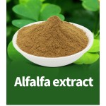 Alfalfa Leaf Extract Powder Manufacturer - 40% Saponins Wholesale Factory