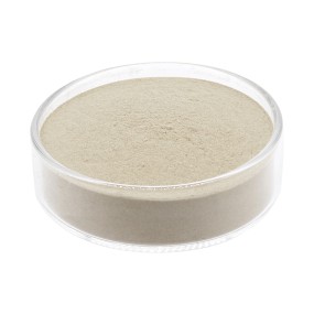 Bacillus Clausii Supplier - Probiotics Powder Factory Supply