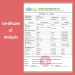 Alpha Arbutin Extract Manufacturer - Cosmetic Grade Skin Whitening