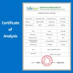 Lactobacillus Reuteri Factory - Freeze-dried Probiotics Manufacturer