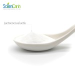 Lactococcus Lactis Supplier - Freeze-dried Probiotics Sciencarin