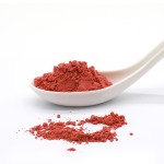 Tomato Powder Manufacturer - 100% Pure Vegetable Powder