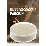 Enterococcus Faecium Supplier - Feed Grade Probiotics Powder