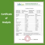 Algae DHA Powder Manufacturer - 10% Docosahexaenoic Acid