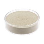 Enterococcus Faecium Supplier - Feed Grade Probiotics Powder