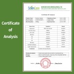 Sodium Alginate Factory - 99% Food Grade Popular Wholesales