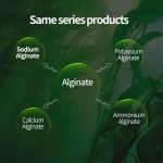 Sodium Alginate Factory - 99% Food Grade Popular Wholesales