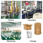 Sodium Alginate Factory - 99% Food Grade Popular Wholesales