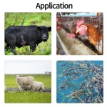 Bacillus Coagulans Manufacturer - Feed Additives Sciencarin